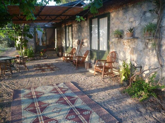 фотографии отеля Faralya Botanica изображение №11