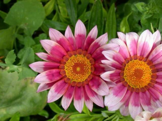 фотографии отеля Bay View Hotel Apartments изображение №7