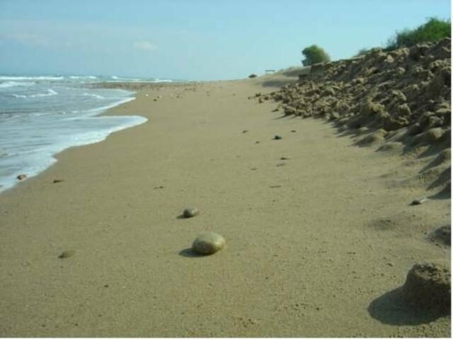 фотографии Olga Studios изображение №12