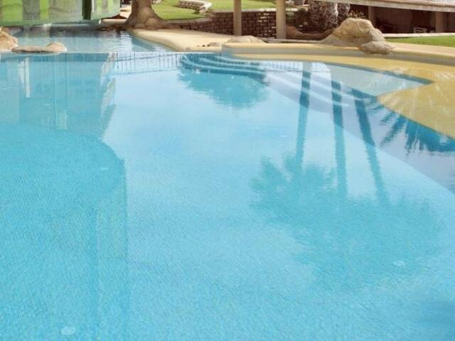 фотографии отеля Hotel Kaktus Albir изображение №11