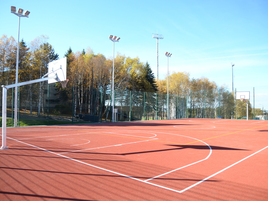 Учебно тренировочная площадка. Учебно тренировочная площадка. Учебно тренировочная площадка. Школьная полоса препятствий скп-102. Утб новогорск динамо стадион.