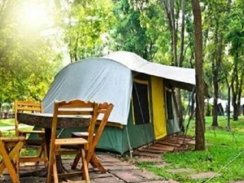 Кемпинг курган. Место для кемпинга. Кемпинг в лесу. Outdoor Camping. Бизнес на кемпинг