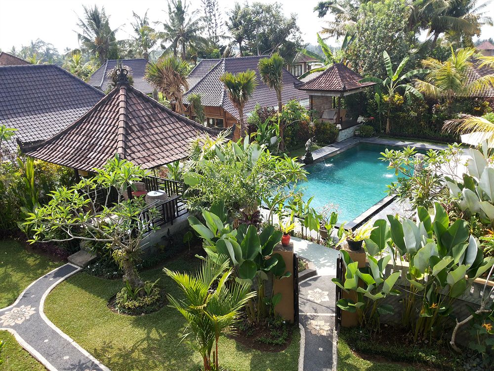 Bali dream. Убуд Индонезия. Третья Убуд Бали. Бали отель riba. Убуд Бали описание.