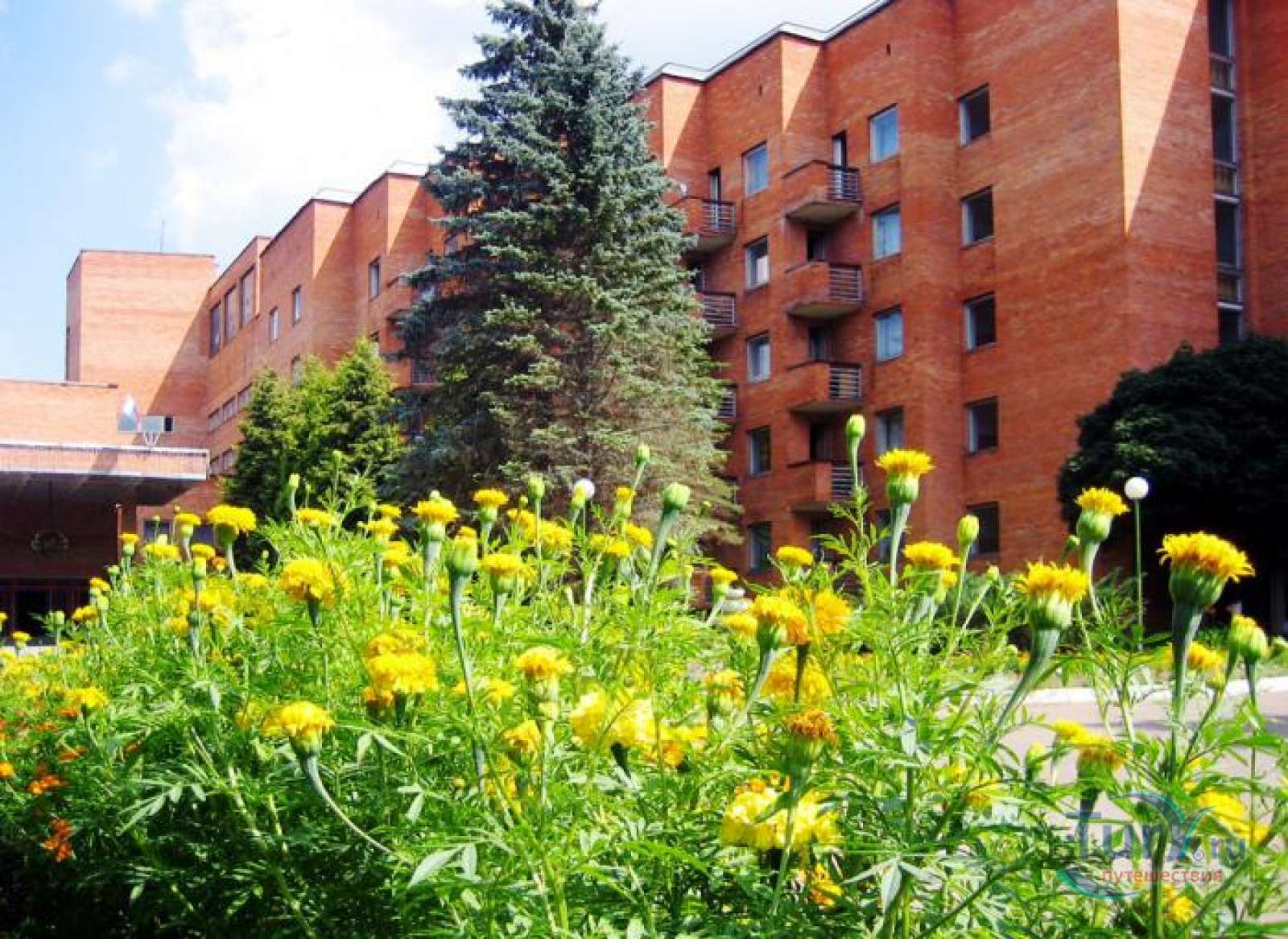 Пансионат звенигород. Пансионат Звенигородский РАН. Пансионат РАН Звенигород. Звенигород пансионат Звенигородский. Звенигородский санаторий Академии наук.