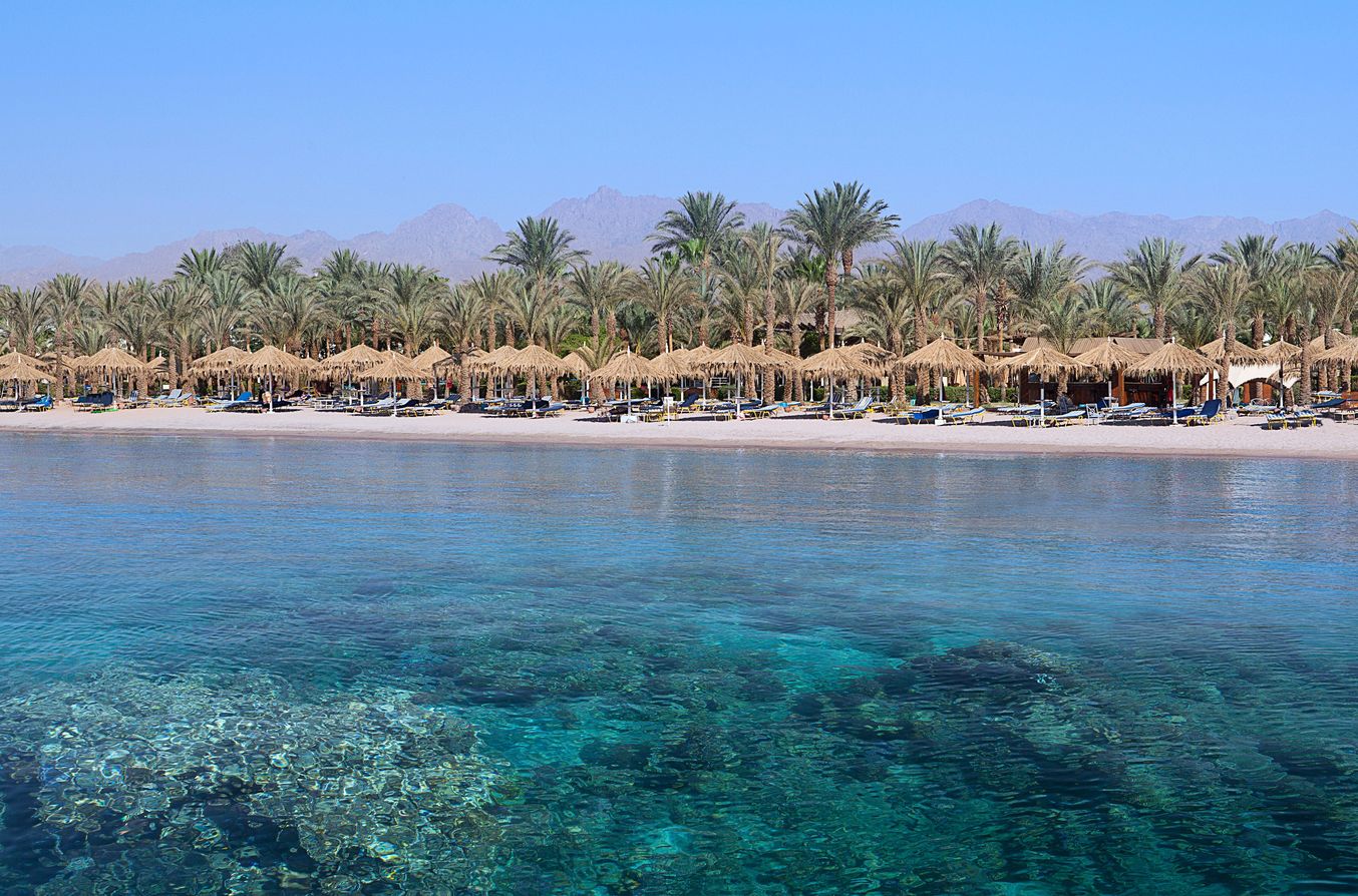 Отель sharm dreams resort