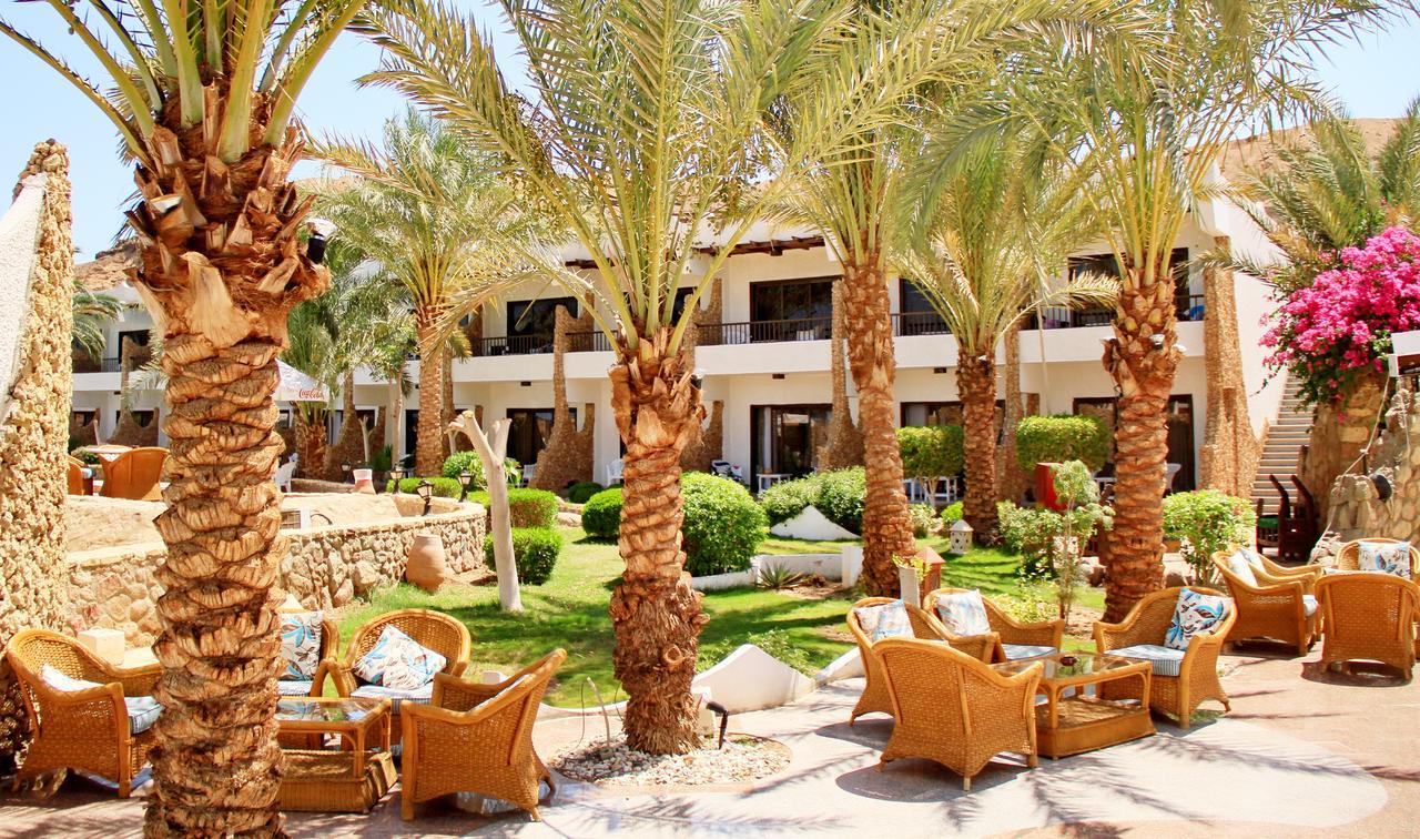 Turquoise Beach Hotel Шарм-Эль-Шейх Египет