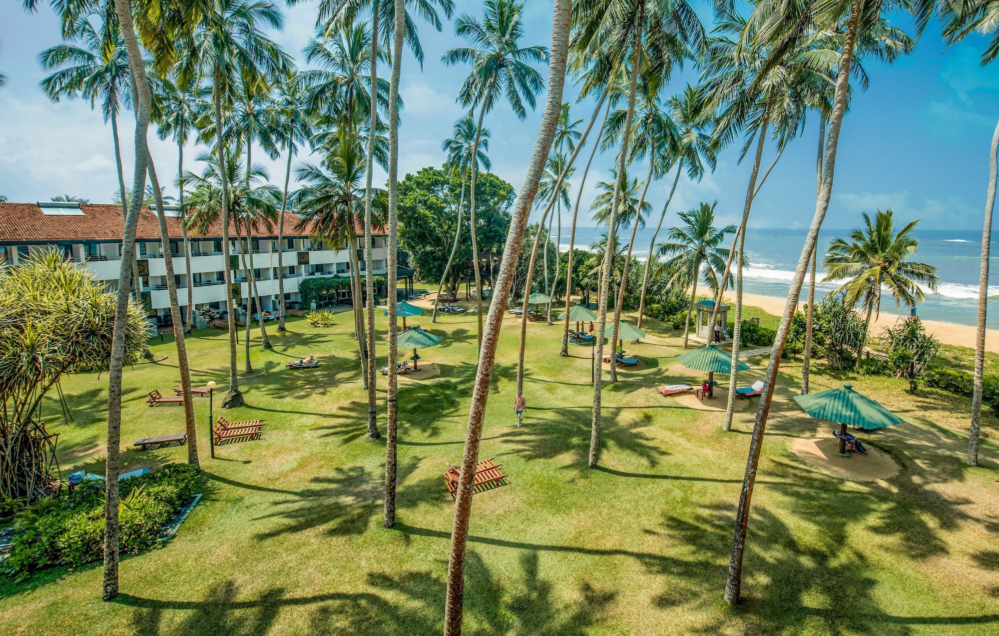 Тадж экзотика шри ланка. Шри ланка royal palms hotel 5. Нилавели шри ланка. Пальма пляж шри-ланка. Ваддува шри ланка.