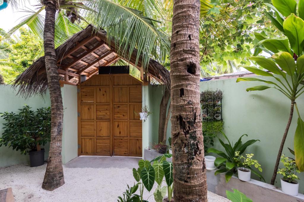 Горящий тур в Isla Dhiffushi