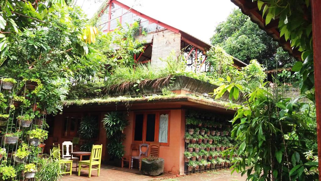 Rumah Turi Eco