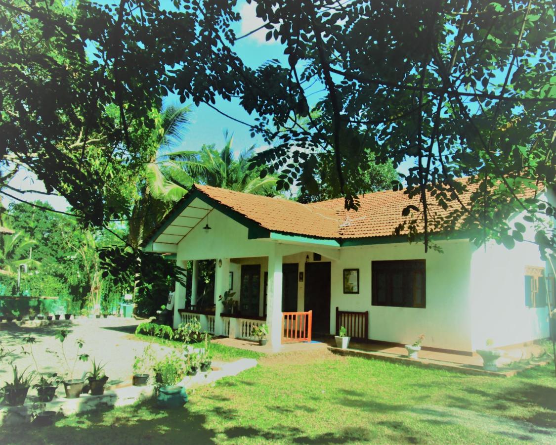 Green Herbal Ayurvedic Eco-Chalets