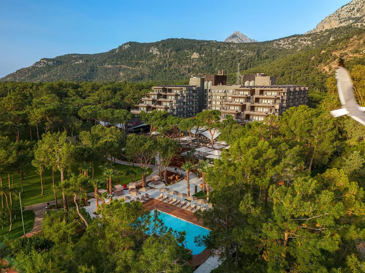 Balmy Foresta (ex. Paloma Foresta; Paloma Renaissance Beach Resort & Spa)